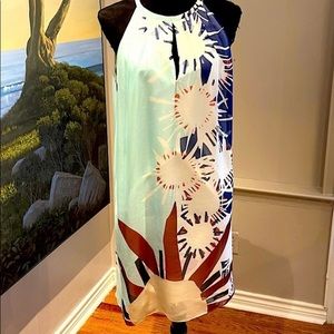 Diane Von Furstenberg Multicolor Floral Dress